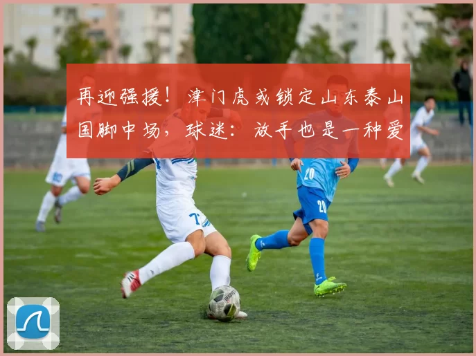 再迎强援！津门虎或锁定山东泰山国脚中场，球迷：放手也是一种爱