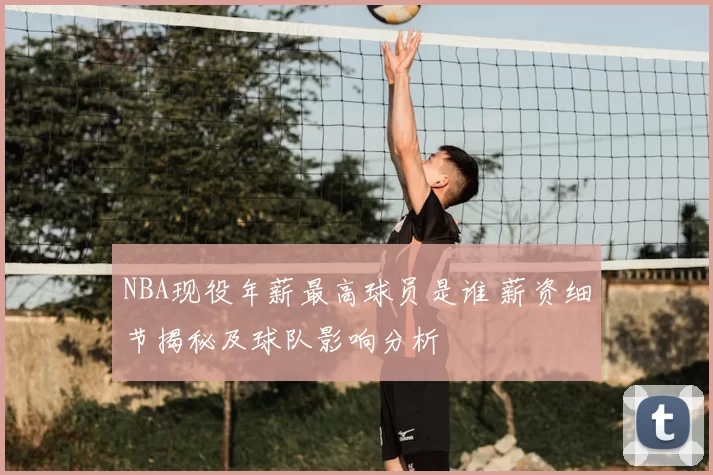 NBA现役年薪最高球员是谁 薪资细节揭秘及球队影响分析