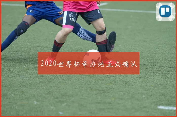 2020世界杯举办地正式确认