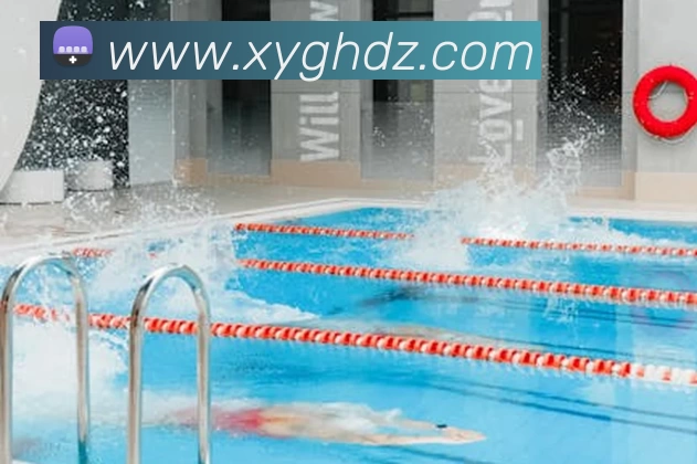 多媒体互动体验