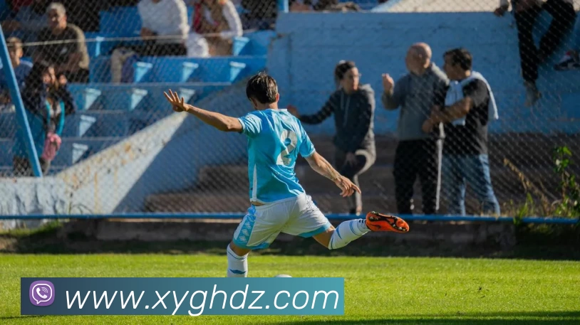 半岛在线网页版登录APP 体育赛事宣传图